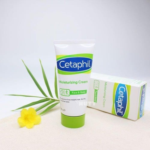 Review Kem dưỡng ẩm mùa đông Cetaphil Moisturizing Cream