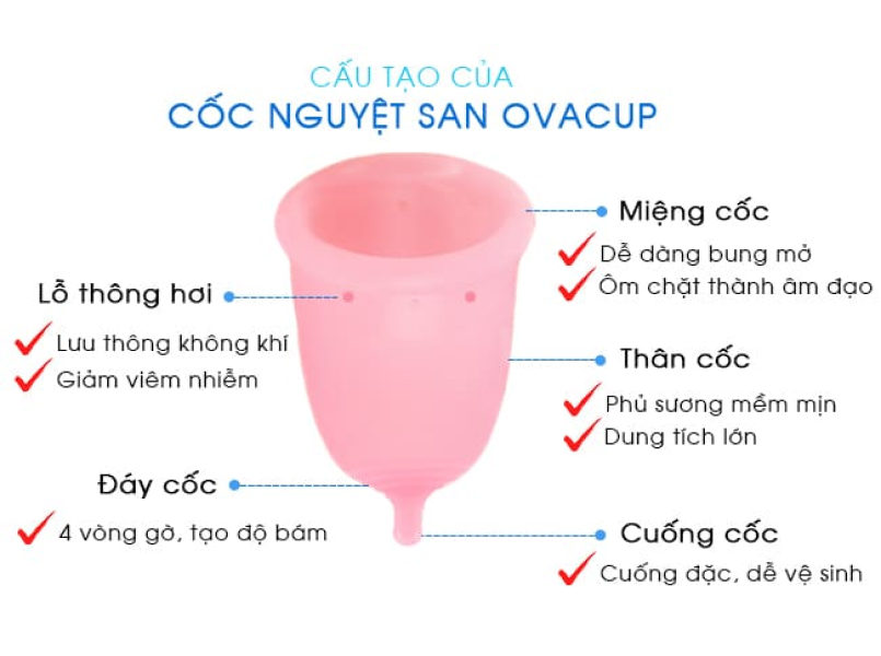 Cấu tạo cốc nguyệt san OvaCup